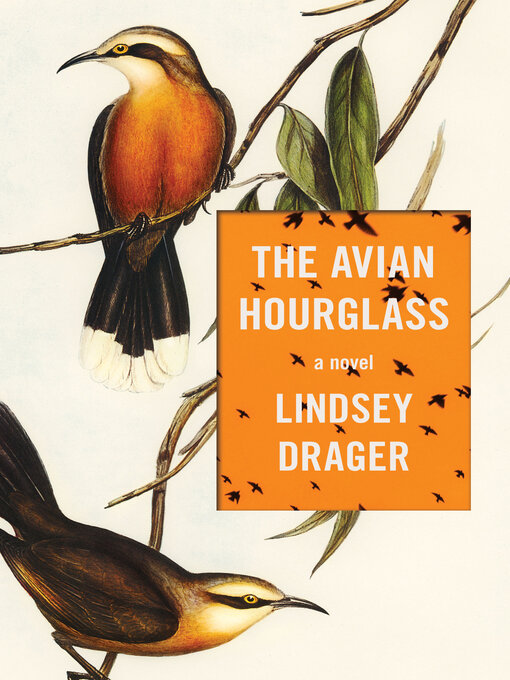 Title details for The Avian Hourglass by Lindsey Drager - Wait list
